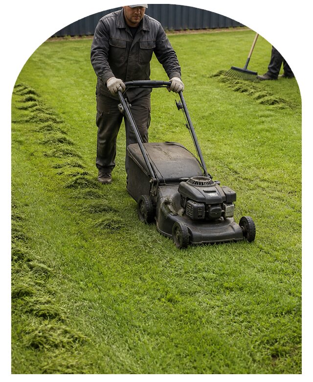 Профессиональный покос газона и травы на участке в Калуге