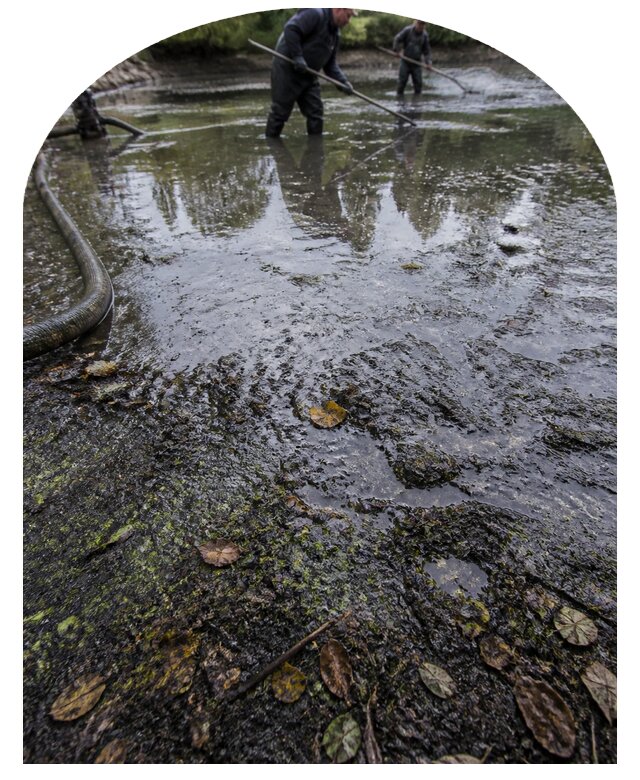 Очистка пруда в Калуге от ила мусора и водорослей с вывозом